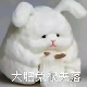 黎樂怡
